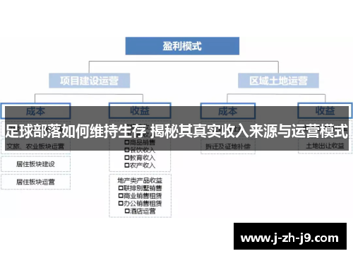 足球部落如何维持生存 揭秘其真实收入来源与运营模式