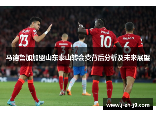 马德鲁加加盟山东泰山转会费背后分析及未来展望