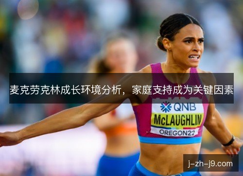 麦克劳克林成长环境分析，家庭支持成为关键因素